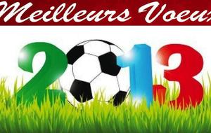 Voeux 2013