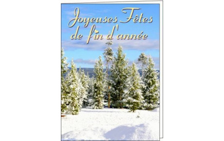 Fêtes de fin d'année