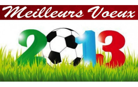 Voeux 2013